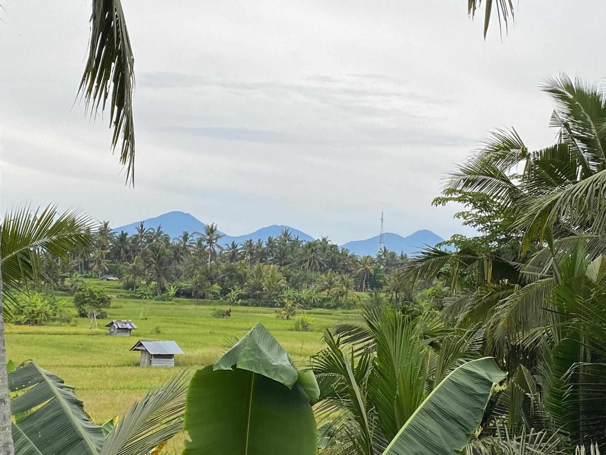 The Shea Ubud Tranquility Villa With Private Pool エクステリア 写真